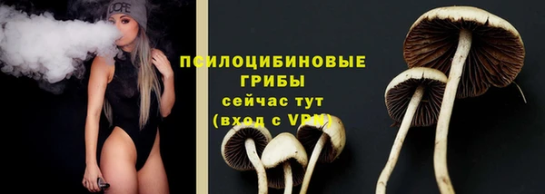 ГАЛЛЮЦИНОГЕННЫЕ ГРИБЫ Пересвет