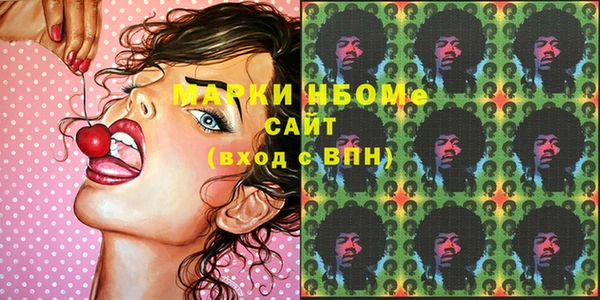 apvp Бородино
