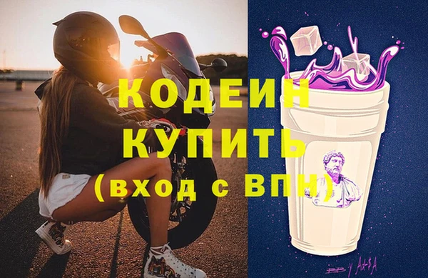 apvp Бородино