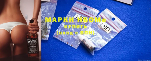apvp Бородино
