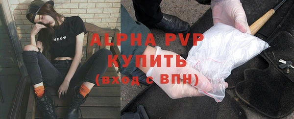 МДПВ Богородск